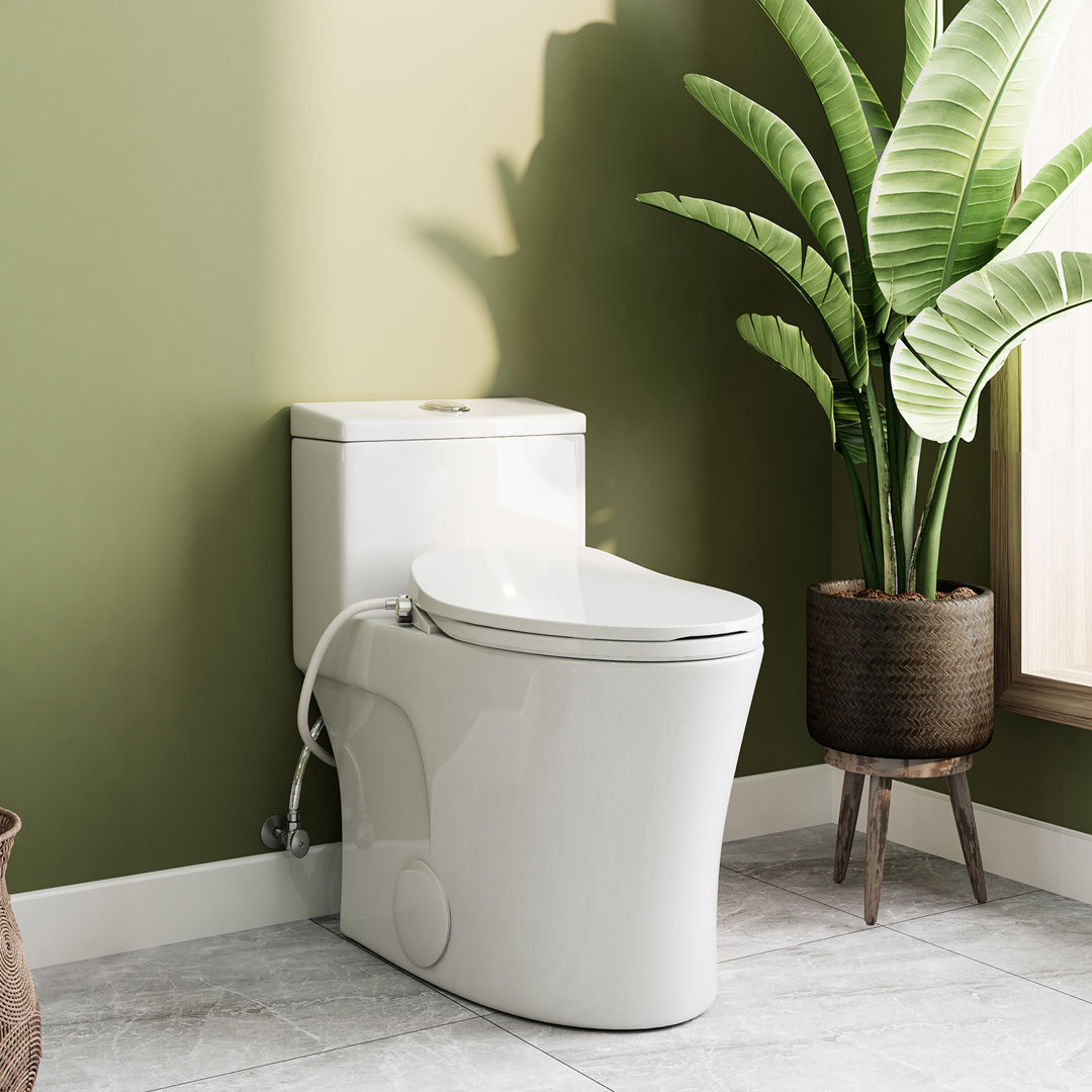 One Piece Toilet with Non-Electric Bidet Toilet Seat, Elongated ADA Chair Height Toilets with Adjustable Nozzles Seat, Powerful Dual Flush & Soft Closing Seat Include, MAP 1000g